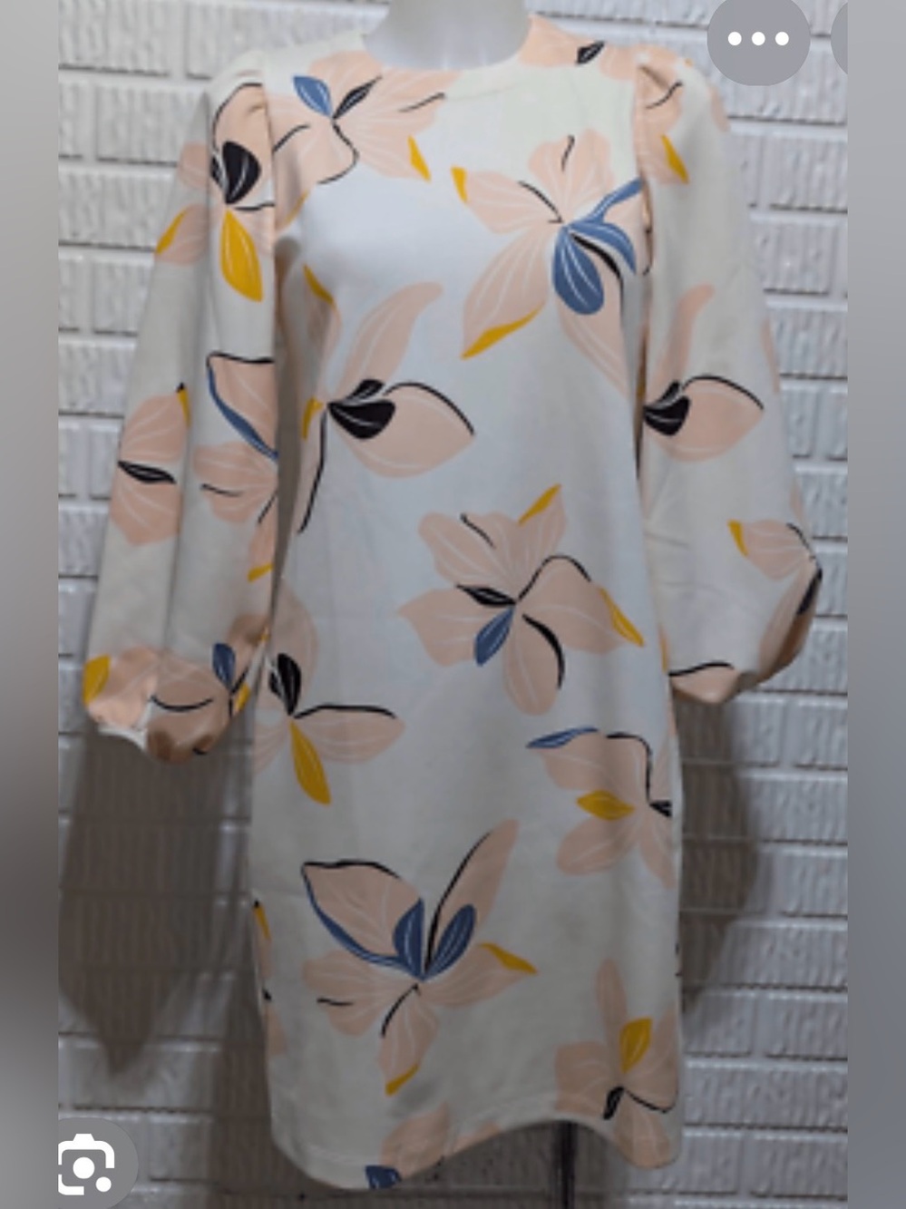 Cream Floral Puff-Sleeve Shift Dress in Blush and Blue